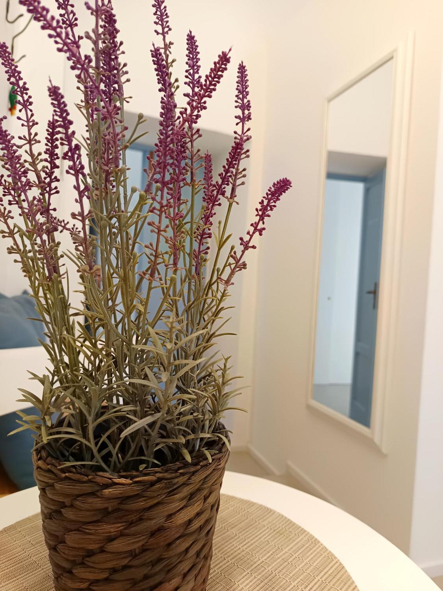 كاستلانيتا B&B Sedilequattro المظهر الخارجي الصورة